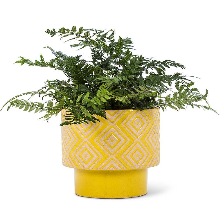 Yellow T-Shape Planter
