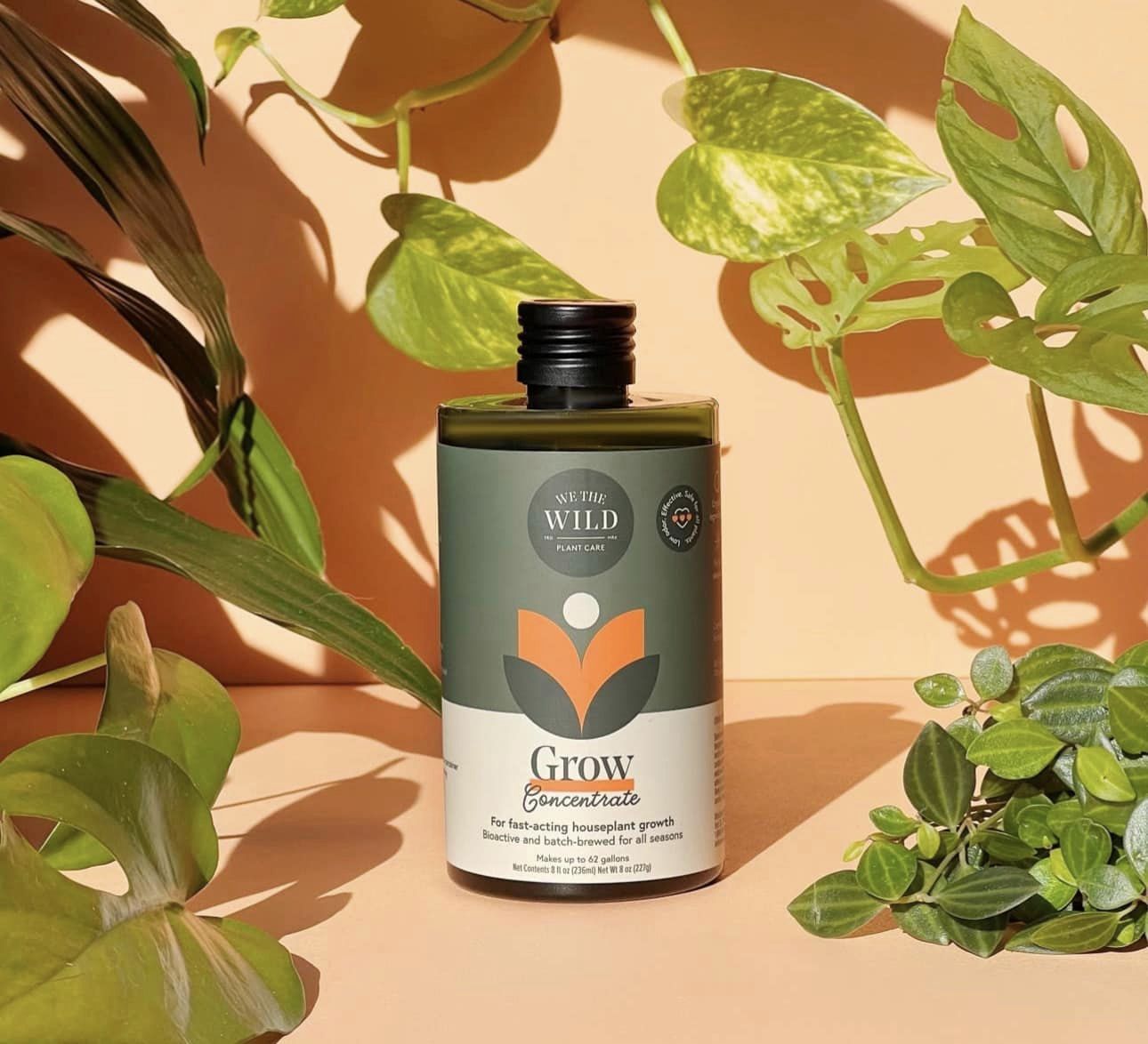 We the Wild Grow Concentrate