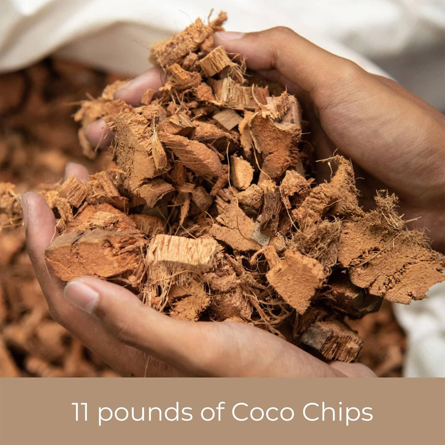 Coco Chip - Chunky Coconut Husk