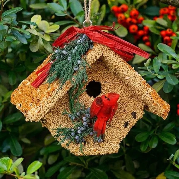 Mr BIrd Wren Casita