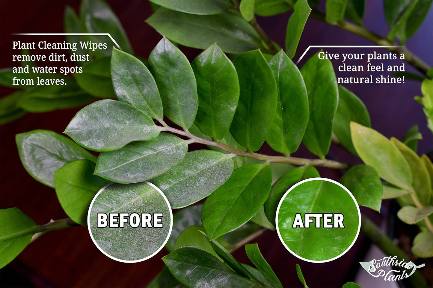 Houseplant Cleaning Wipes