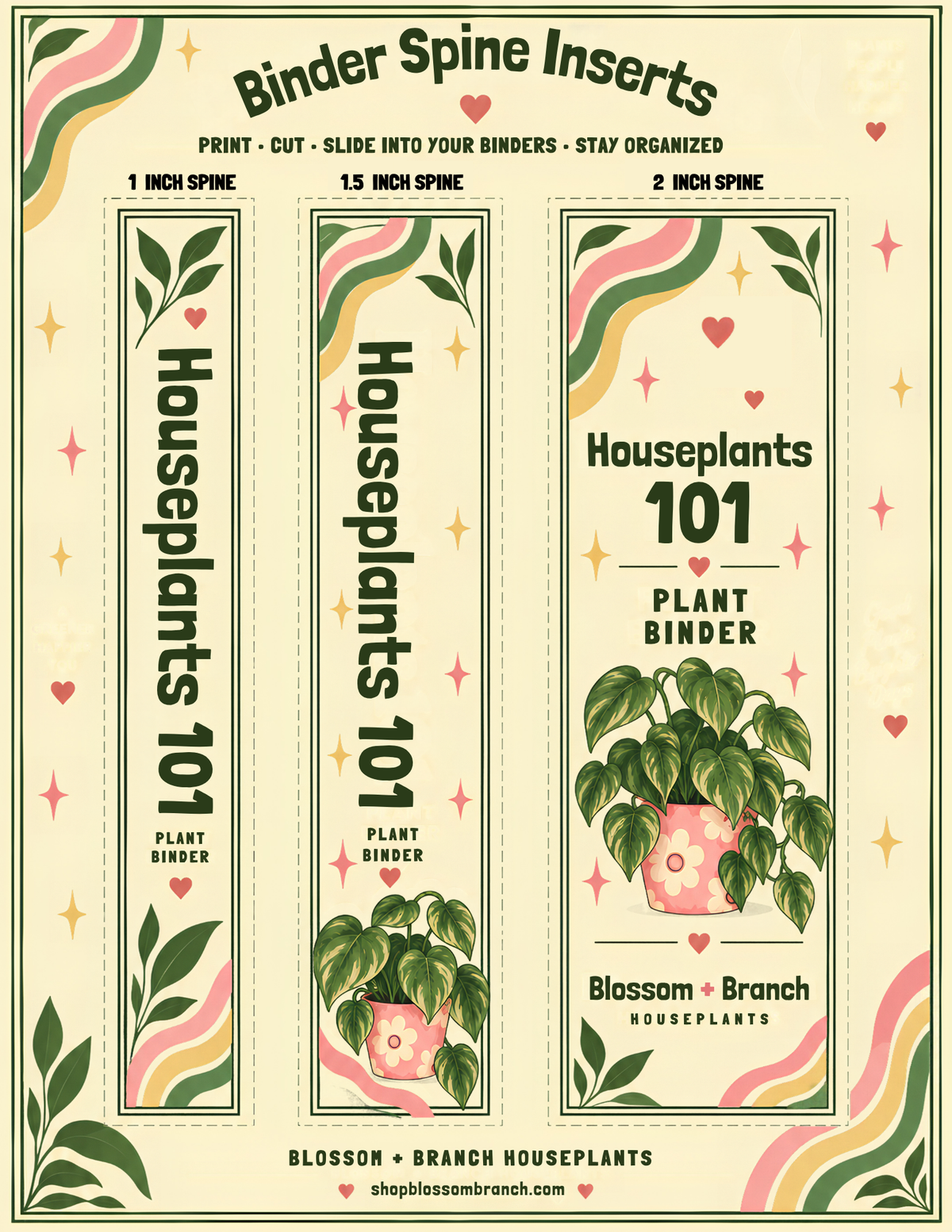 Houseplants 101 — Self-Paced Class
How Not to Kill Your Houseplants