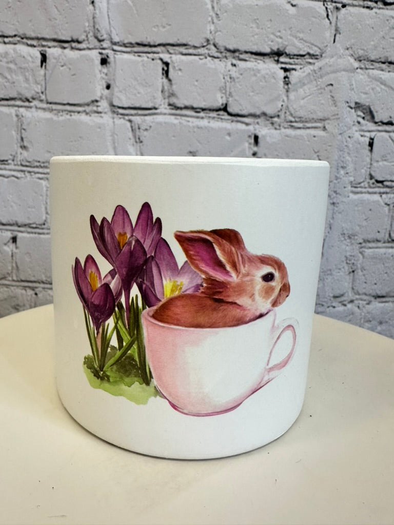 Bunny + Crocus Planter