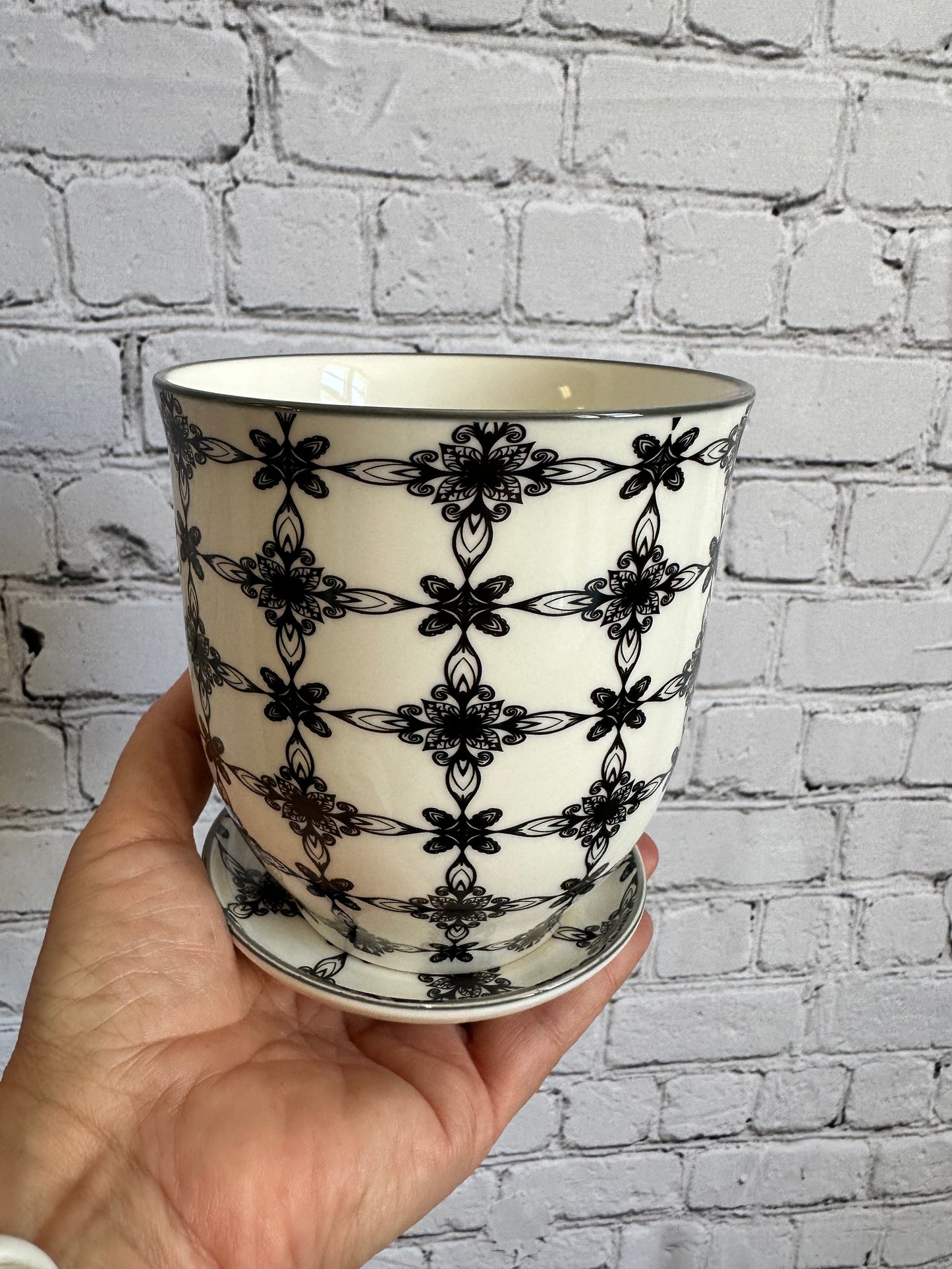 Black Star Pot- 4in