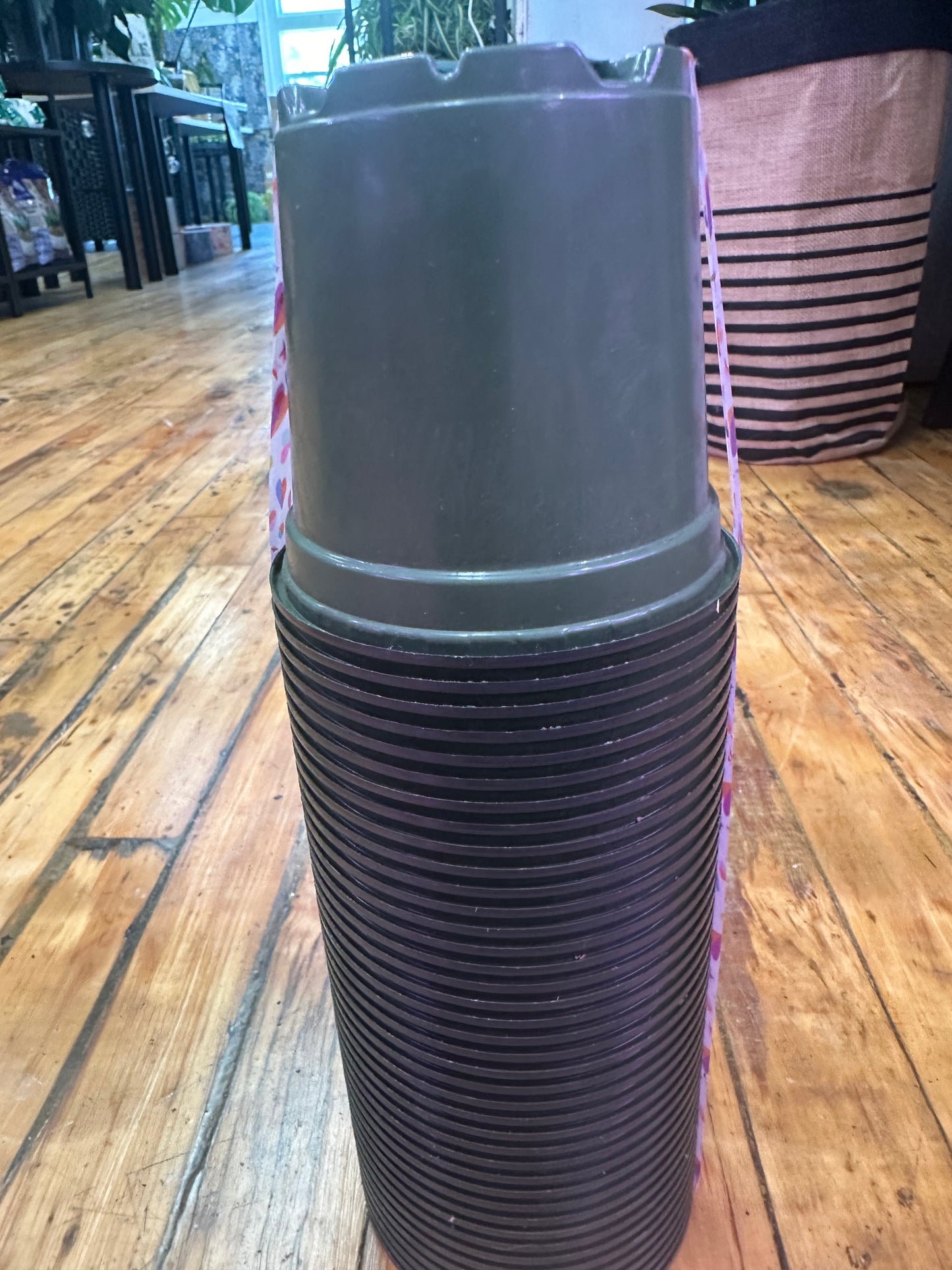 4” Nursery Pots set of 40