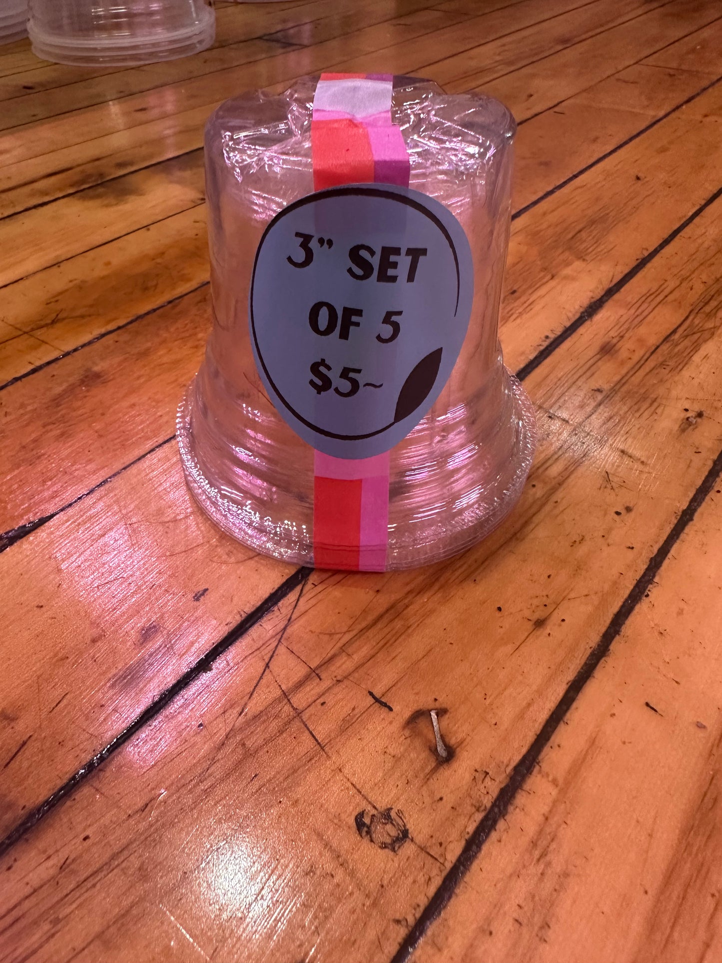 3” Clear Nursery Pots Set of 5