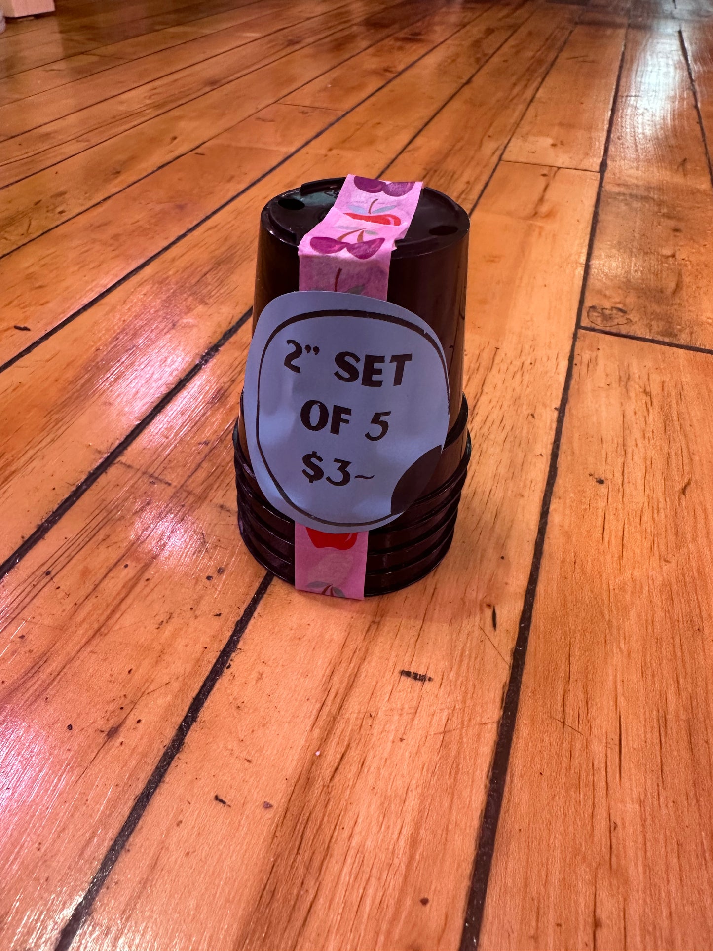 2” Black Nursery Pots set of 5