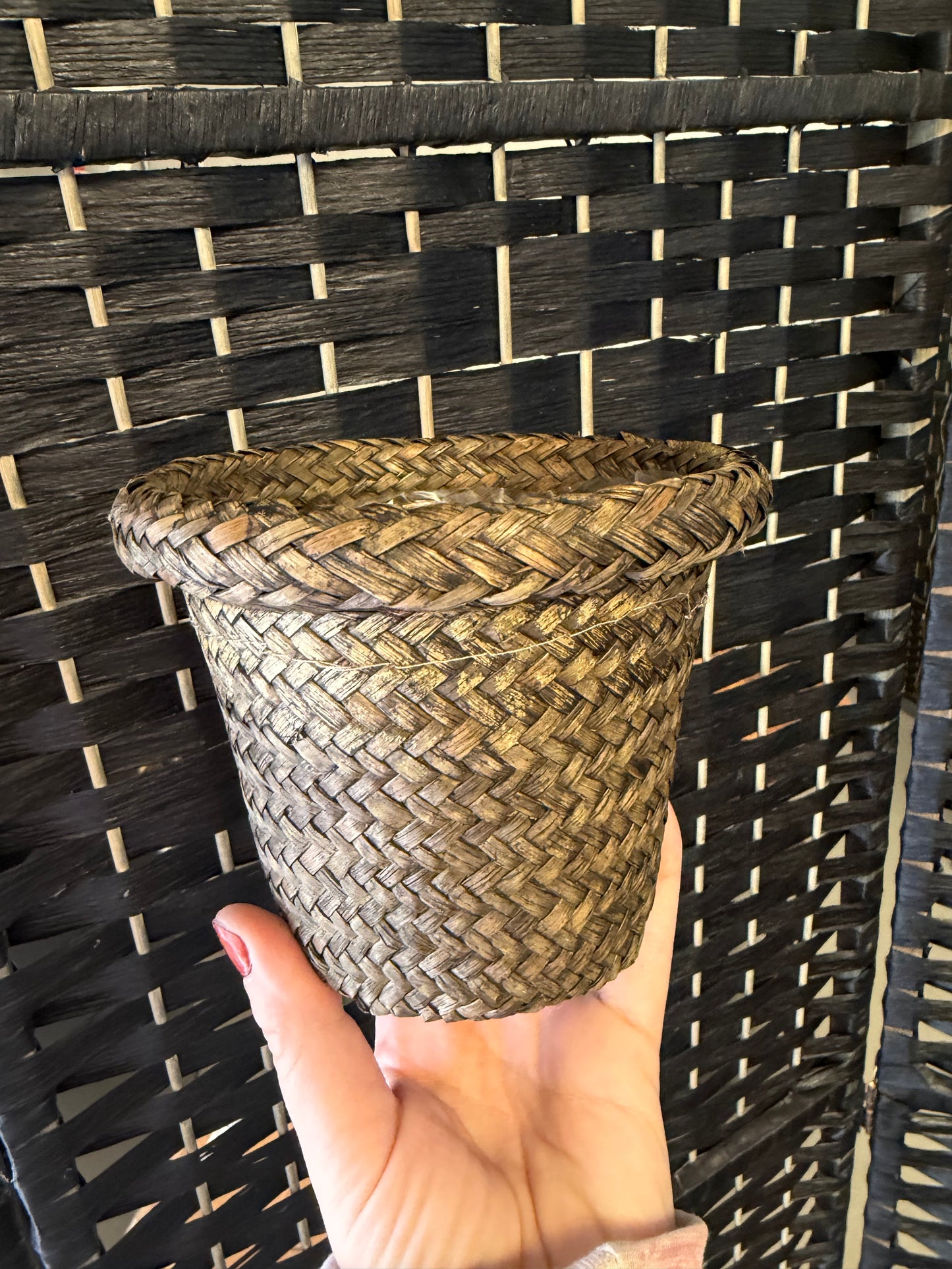 Woven Pot 4in