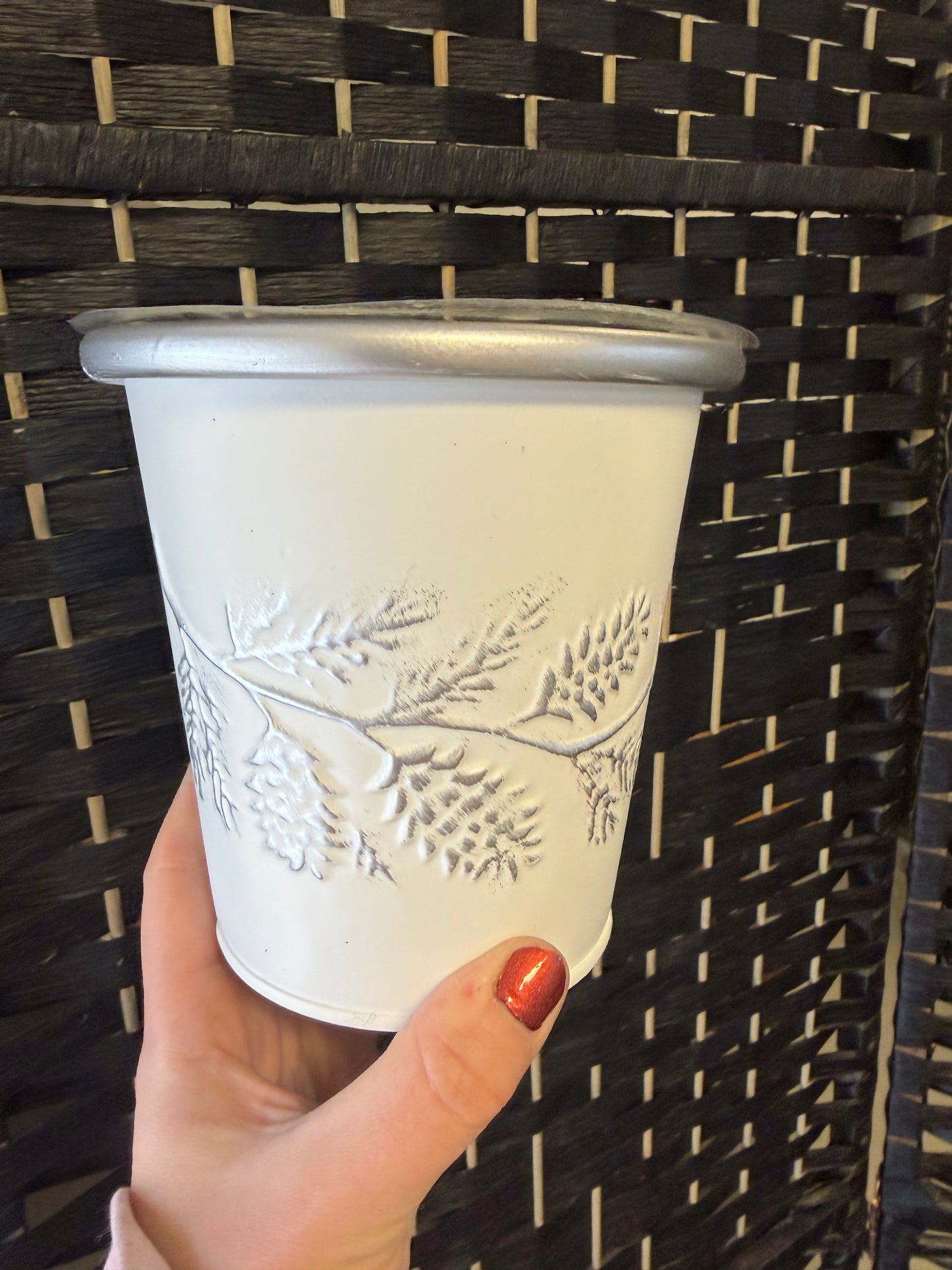 Winter Pinecone Pot 4in