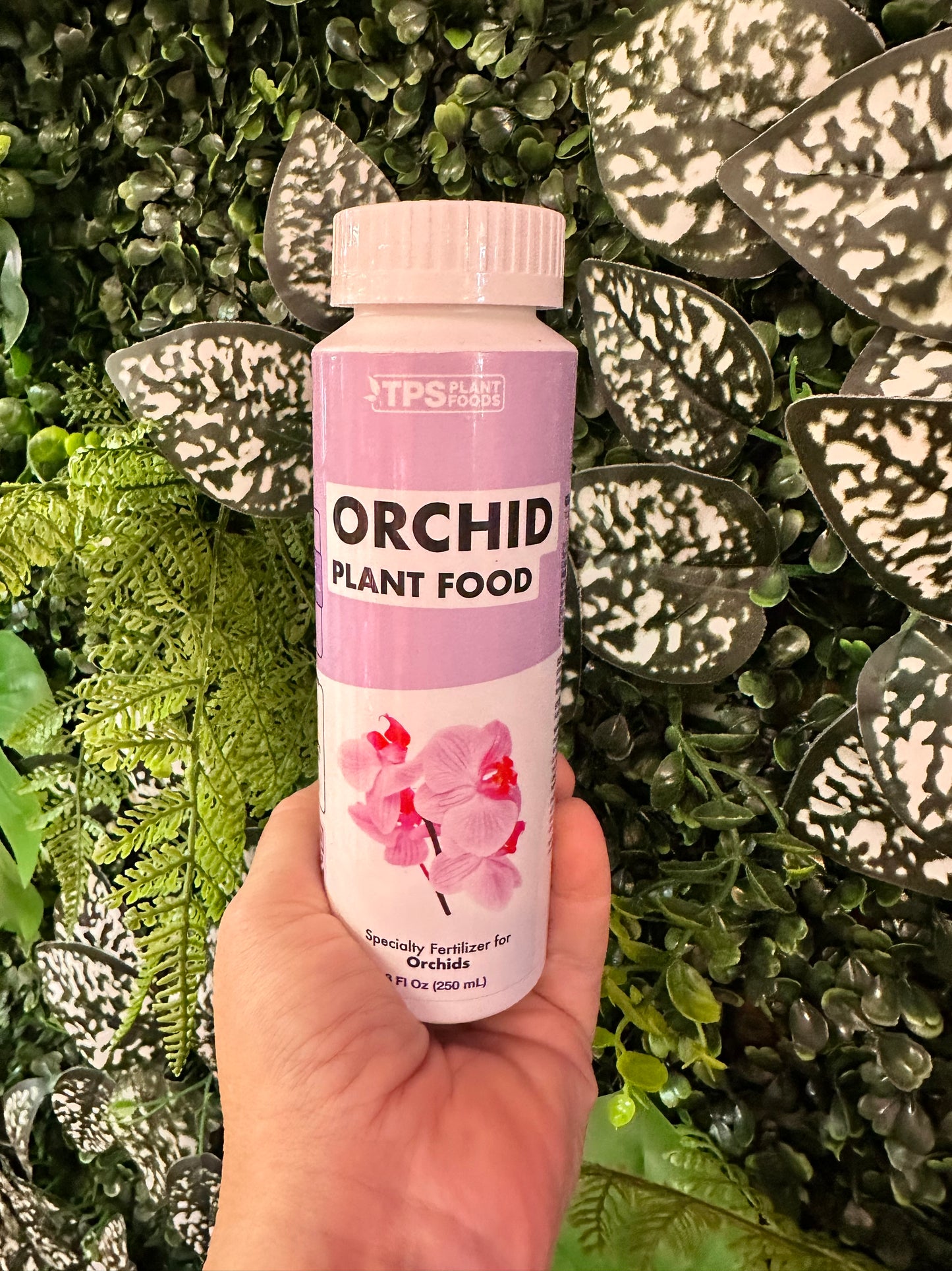 Orchid Plant Food