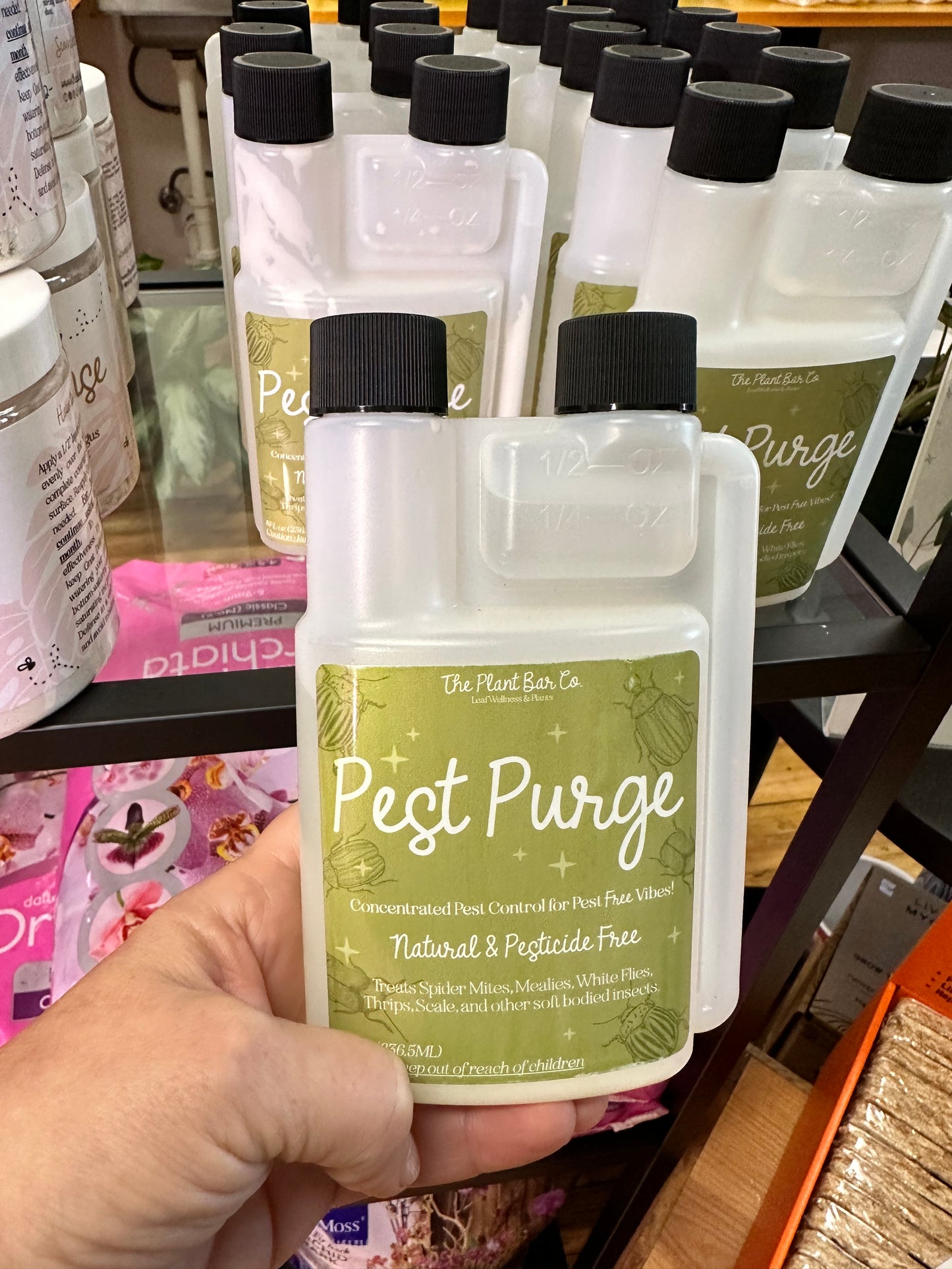 Pest Purge