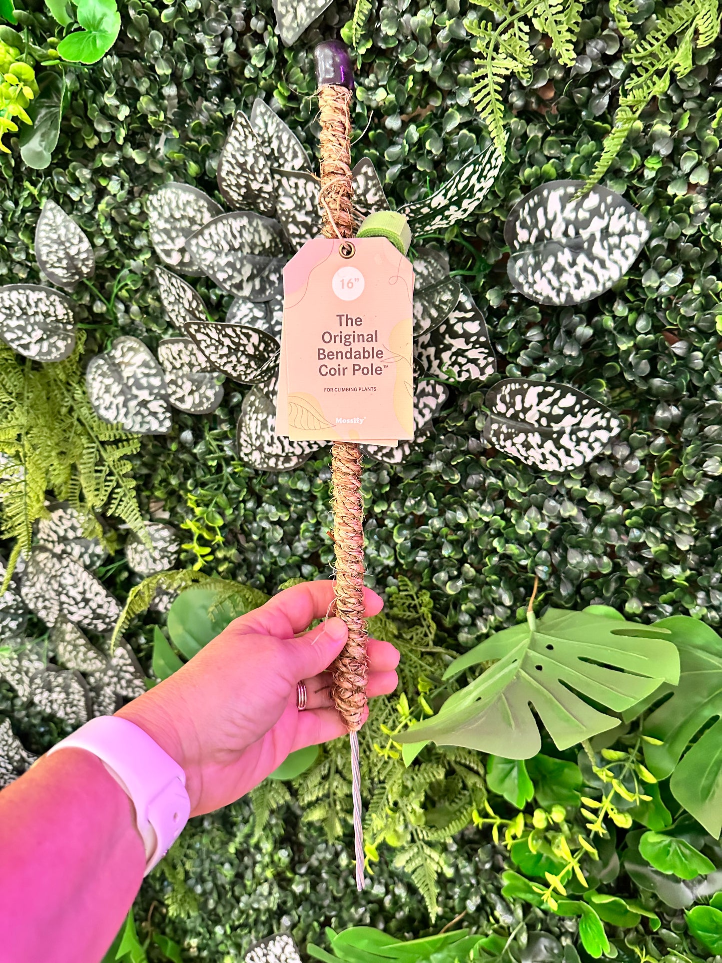 Moss Pole 16" (straight/ small)