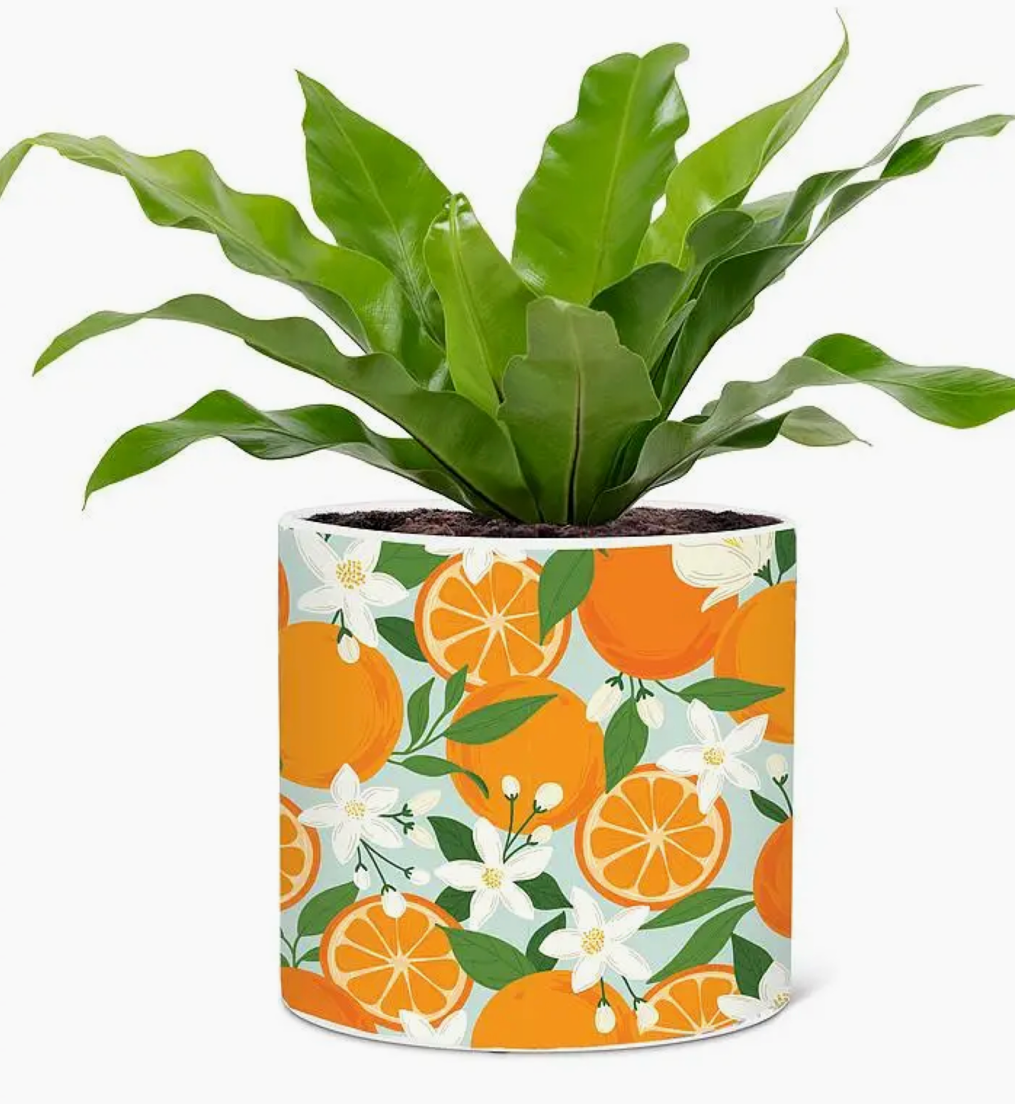 Orange & Blossoms Planter 6.5