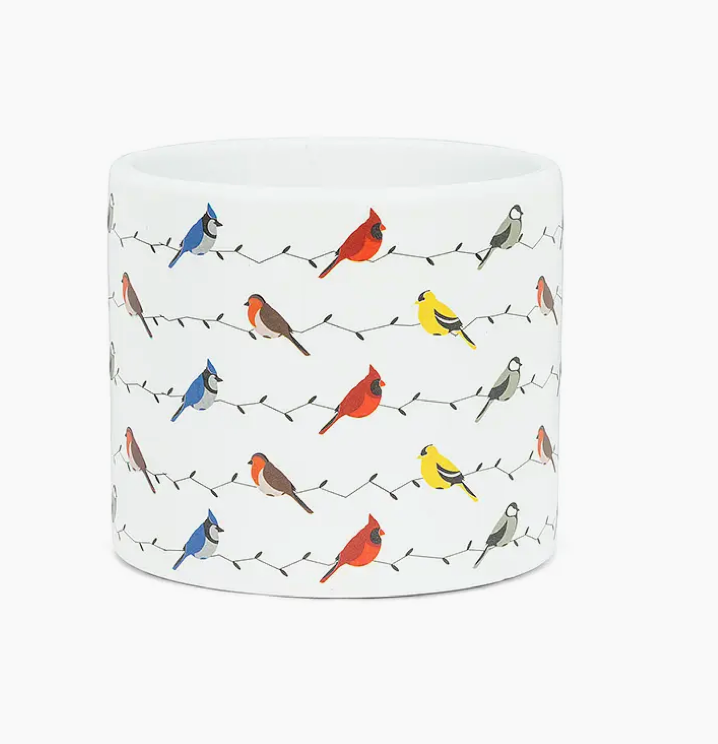 Sm Multi Bird