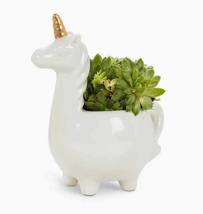 Unicorn on Legs