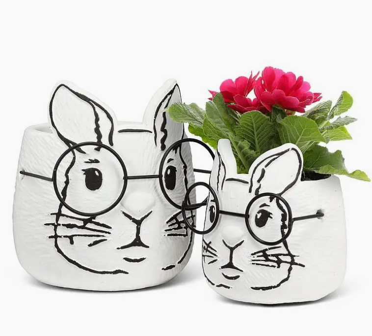 Bunny with Glasses