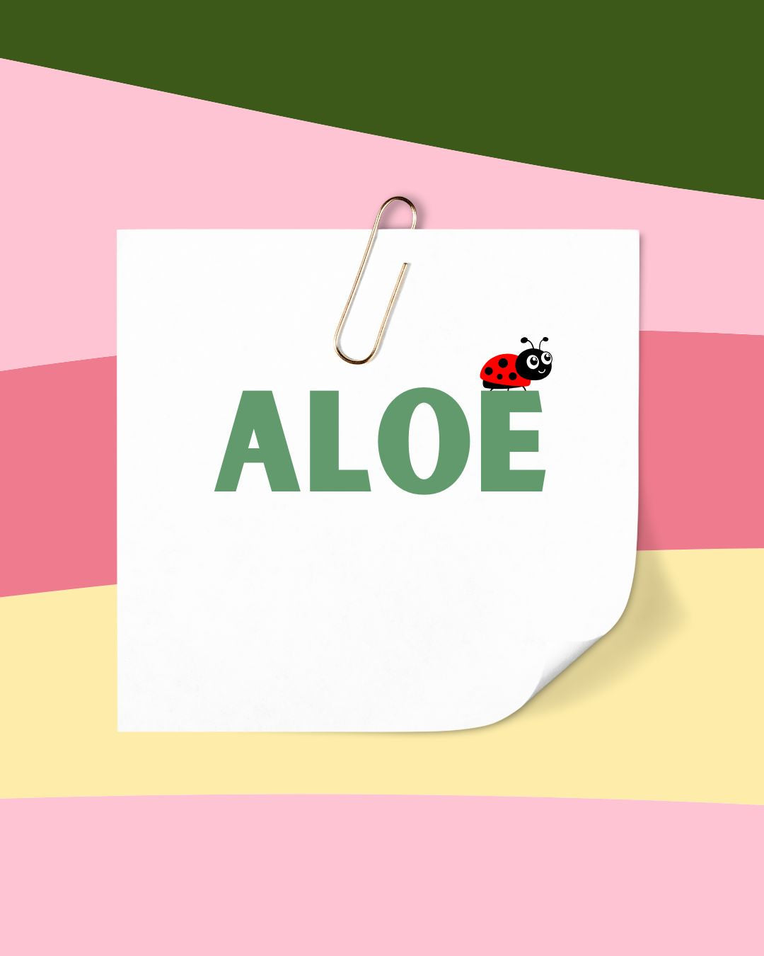 Aloe