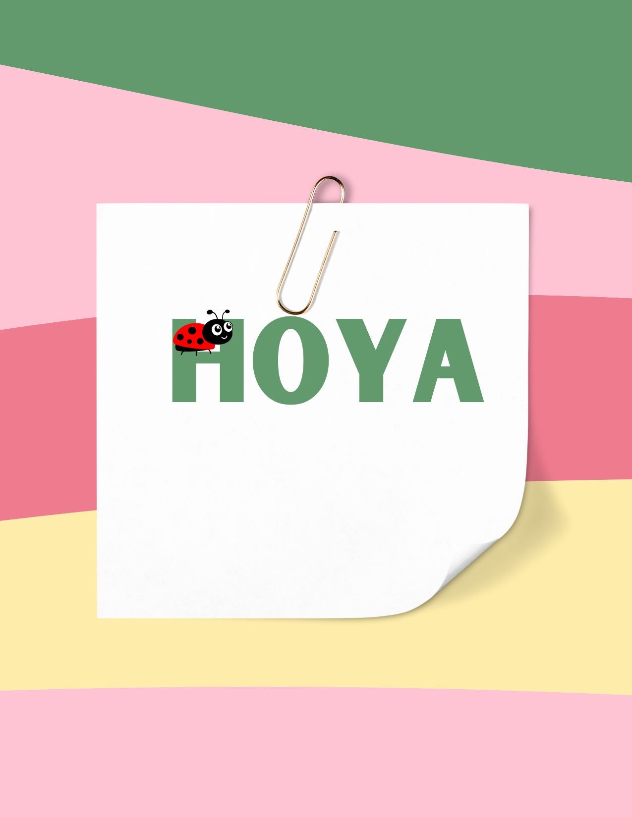 Hoya