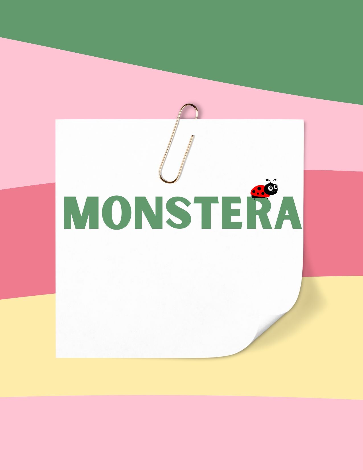 Monstera