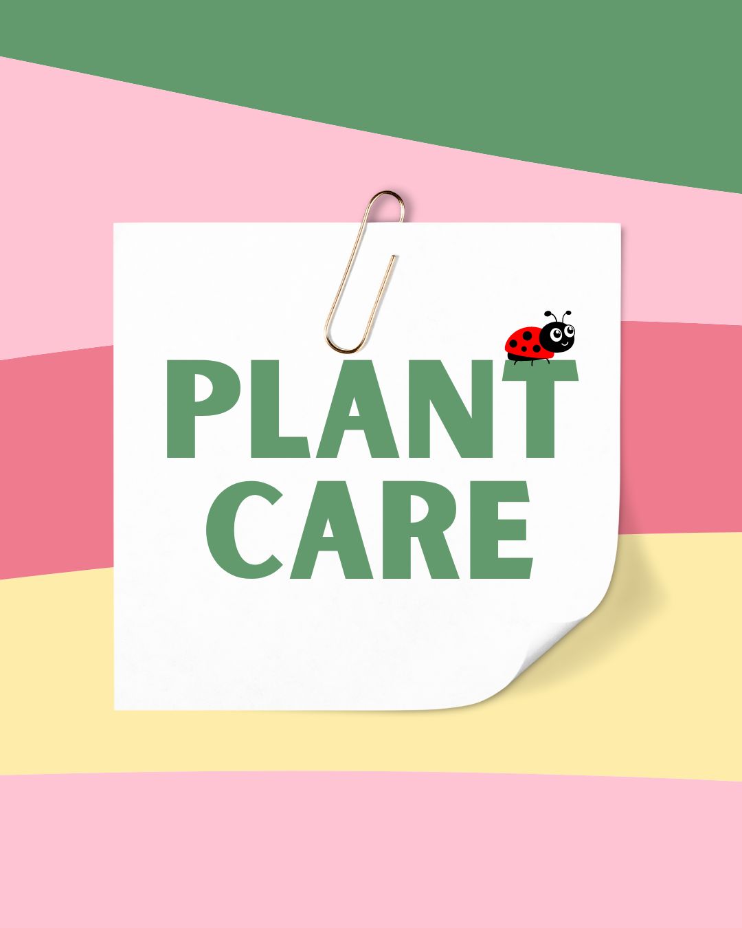 Plant Care