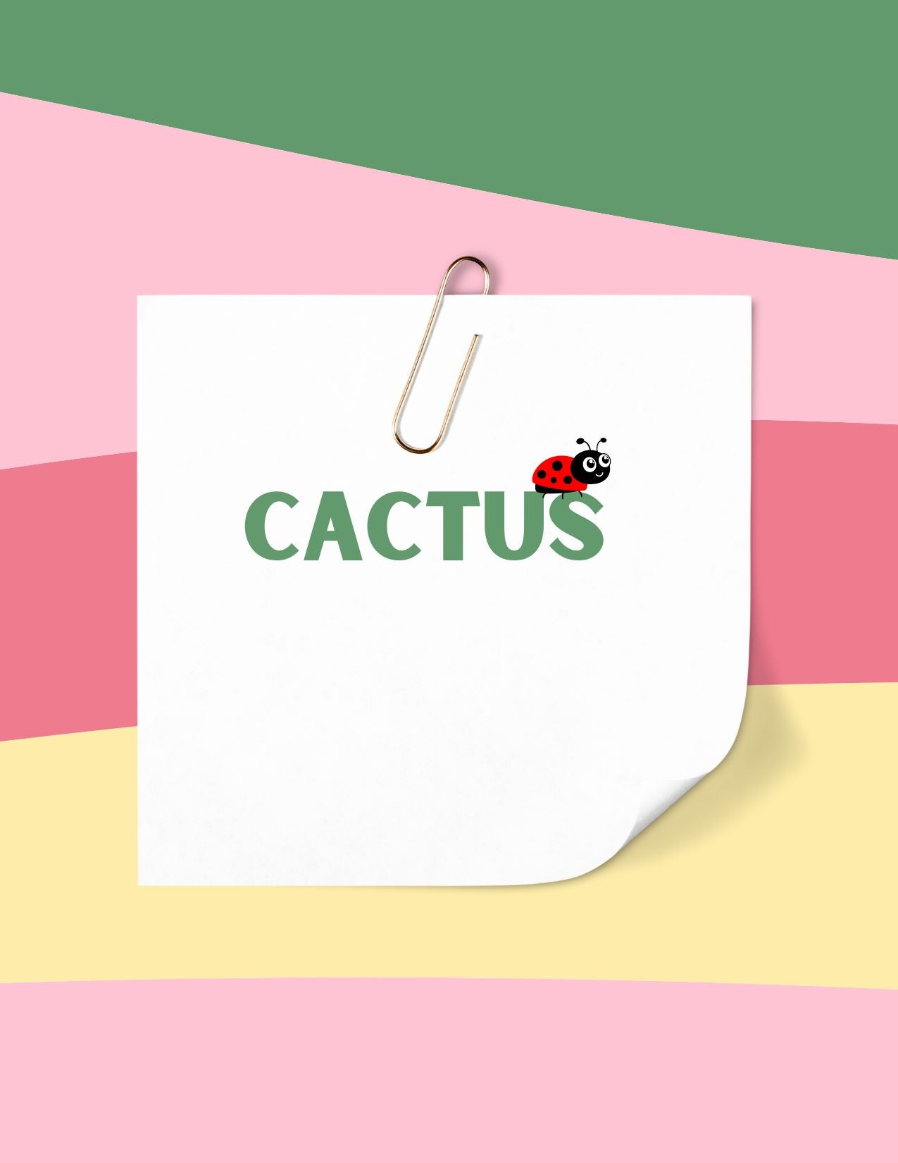 Cactus