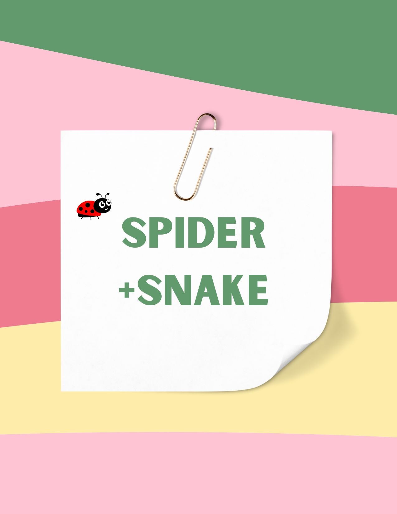 Spider + Snake