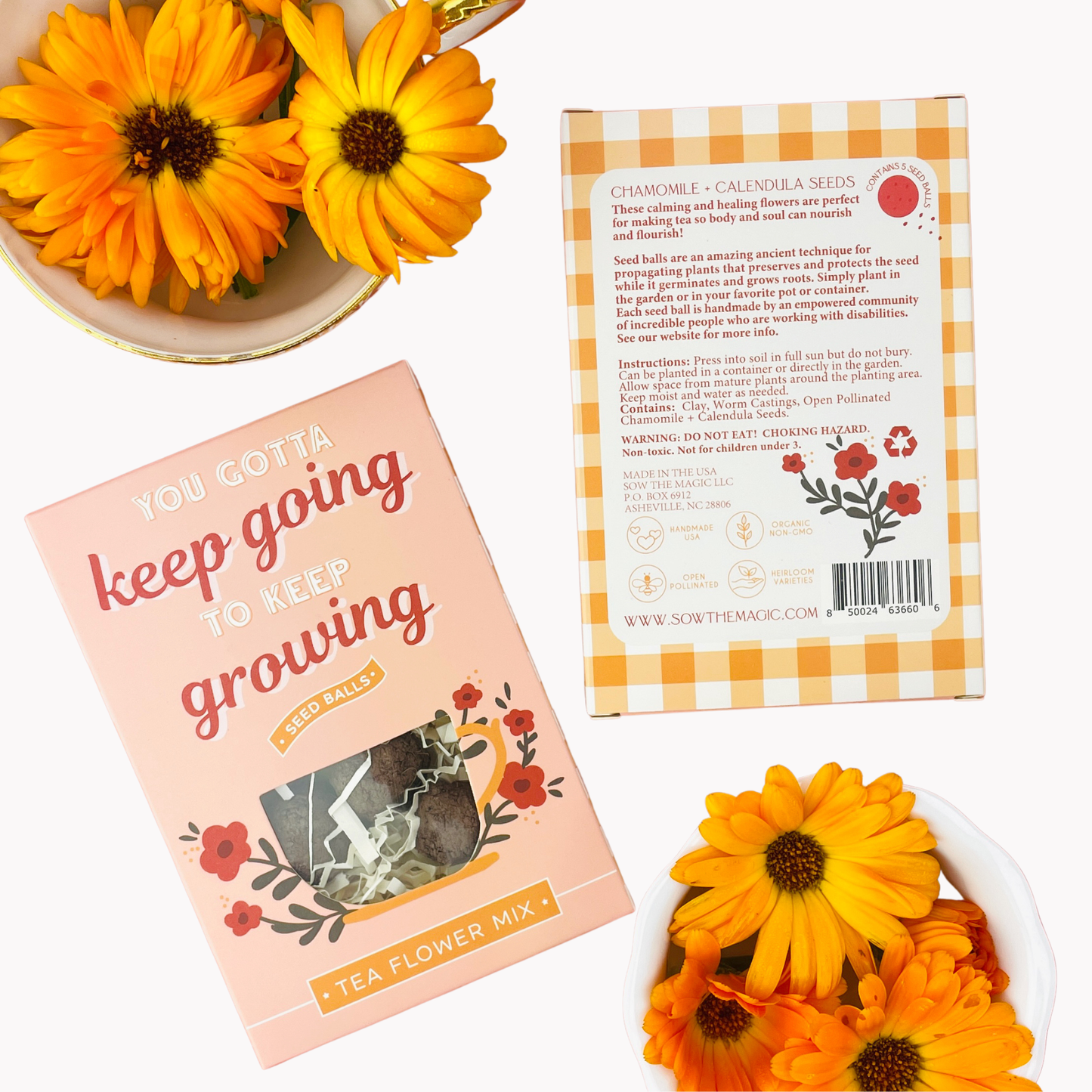 You Gotta Keep Going To Keep Growing Tea Seed Ball Gift Box