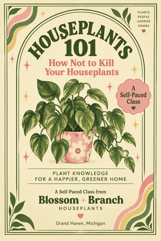 Houseplants 101 — Self-Paced Class

How Not to Kill Your Houseplants