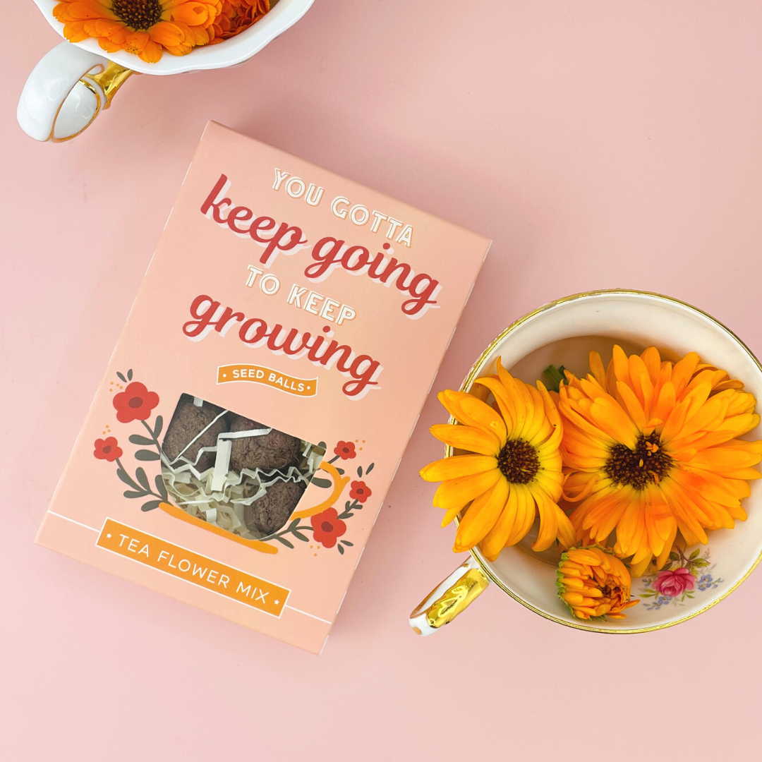 You Gotta Keep Going To Keep Growing Tea Seed Ball Gift Box