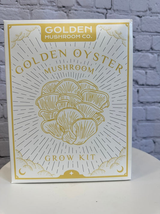 Golden Oyster Mushroom Grow Kit