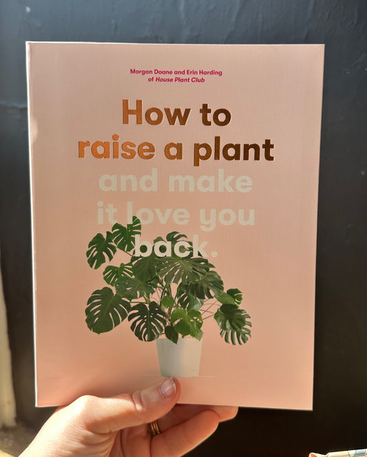 How to Raise a Plant