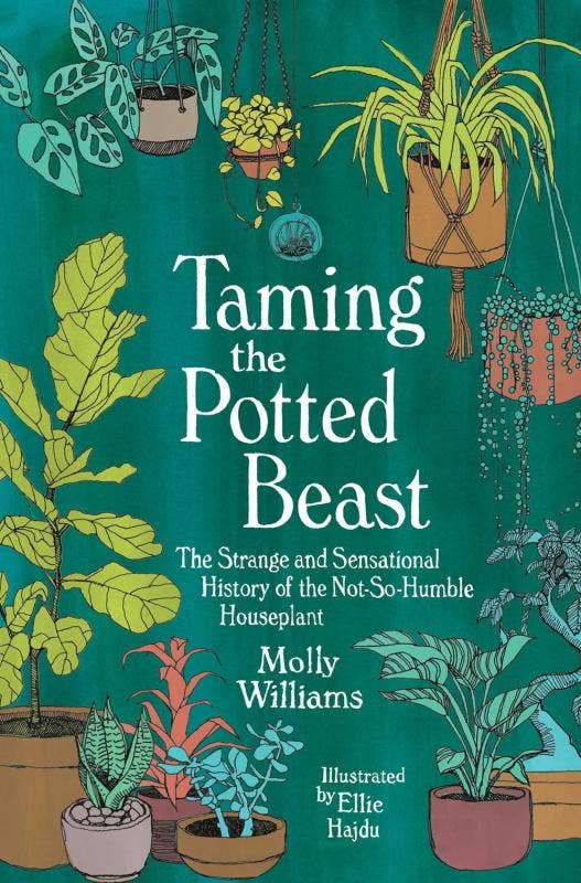 Taming the Potted Beast: History of the Houseplant