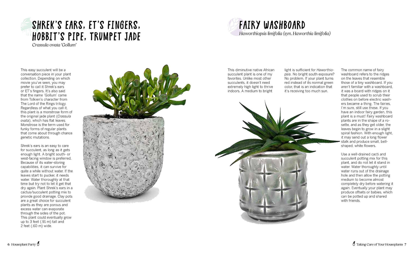 Houseplant Party: Fun Projects & Growing Tips For Plants