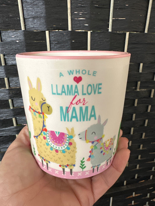 Llama Small