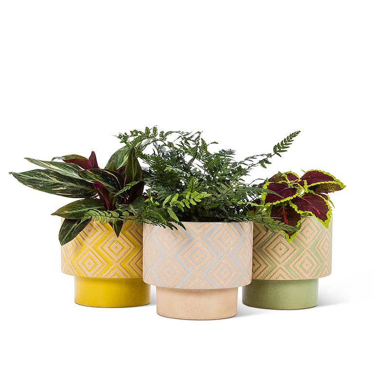 Yellow T-Shape Planter
