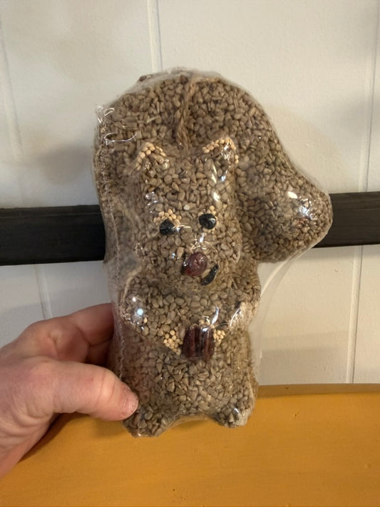 Nutzo Squirrel - Mr. Bird