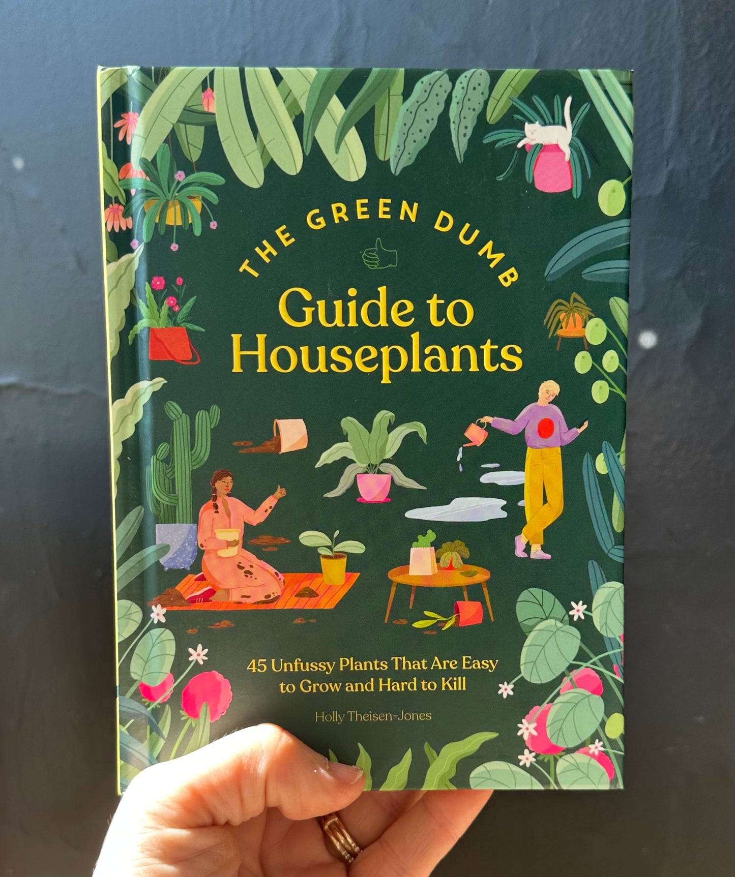 Green Dumb Guide to Houseplants Book