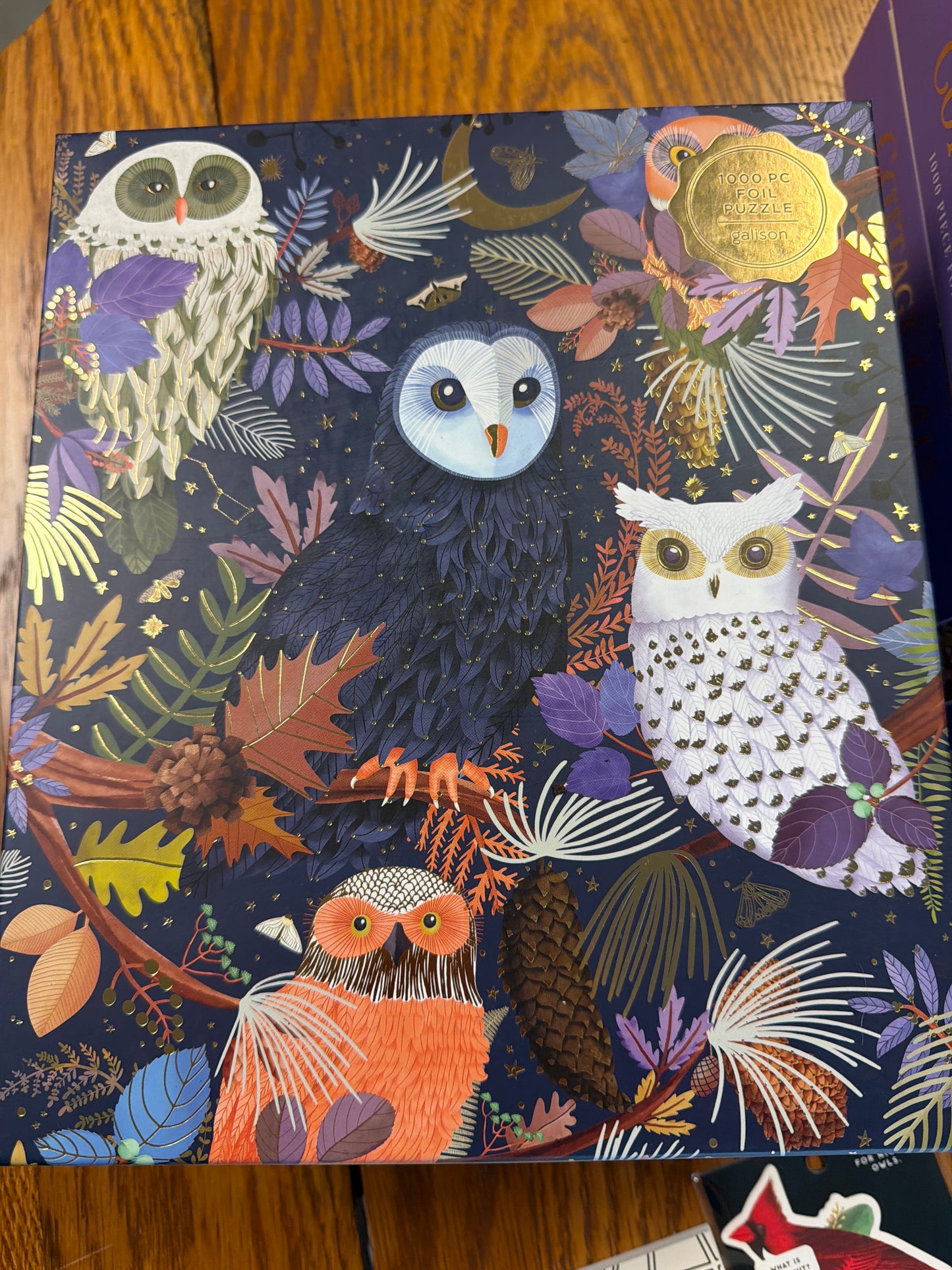 Owls at Dawn Puzzle