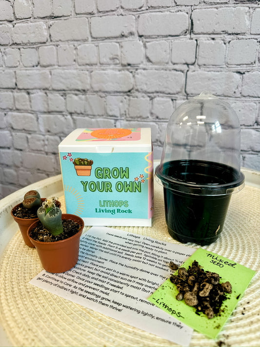 Grow Your Own Kit: Living Rock