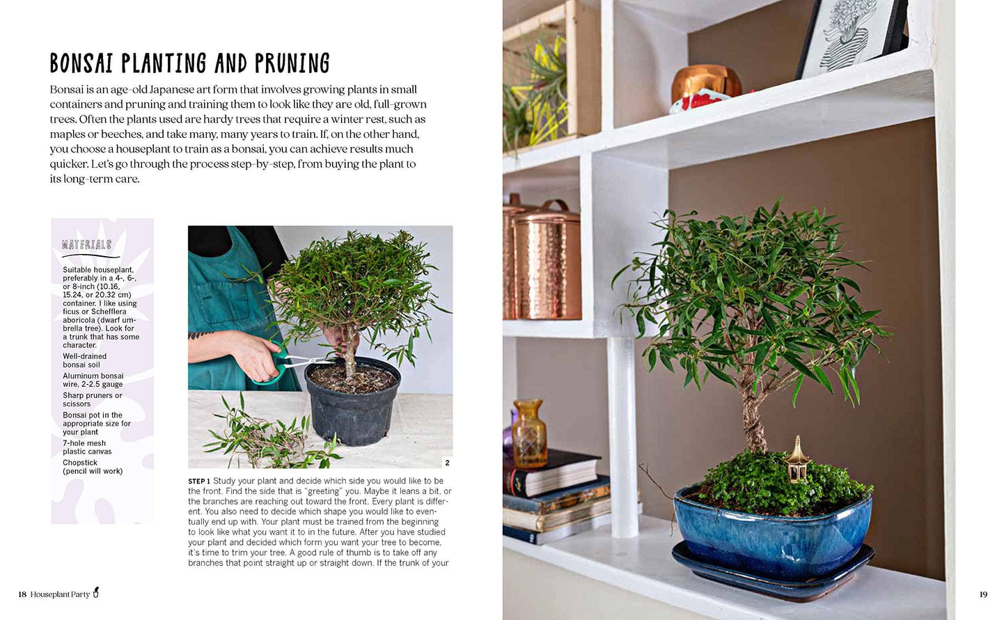 Houseplant Party: Fun Projects & Growing Tips For Plants