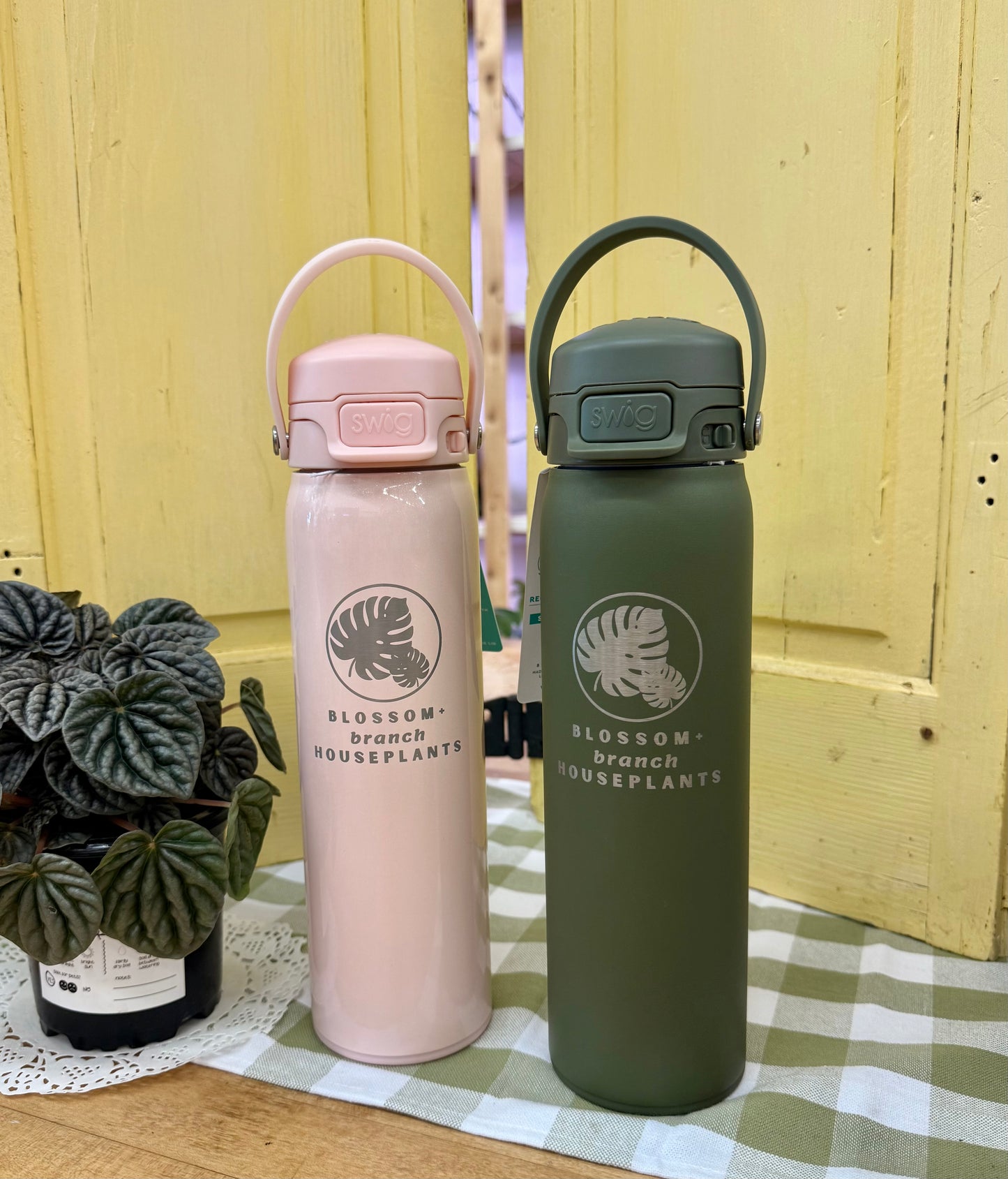 Swig Blossom + Branch