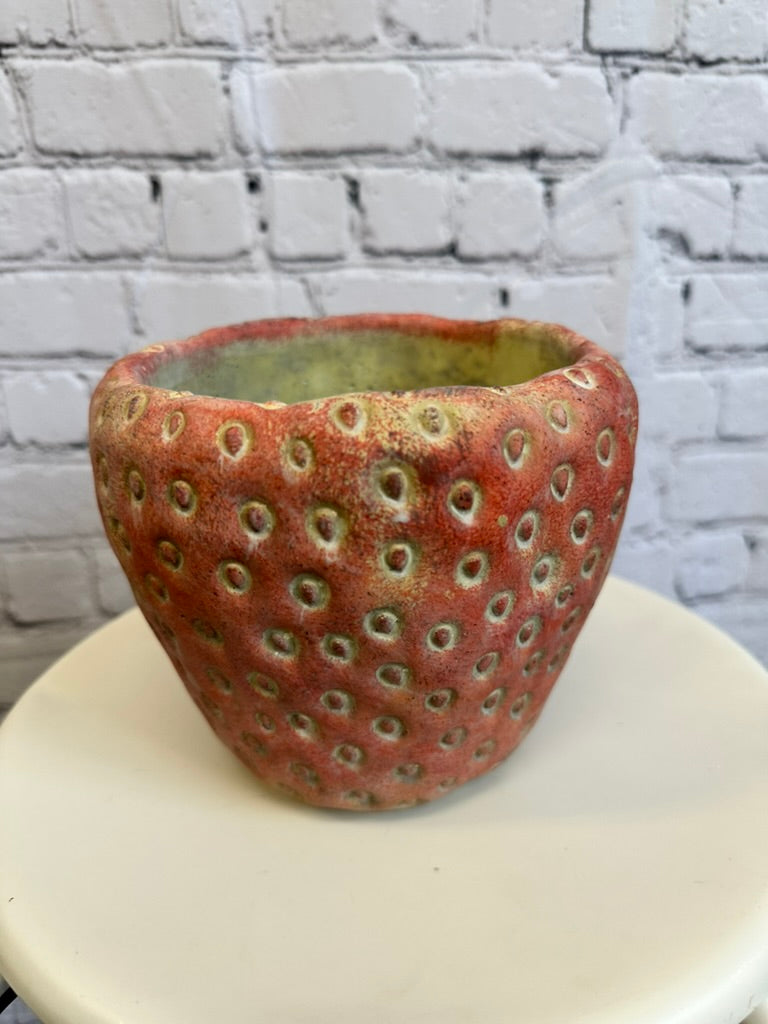 Small Strawberry Planter