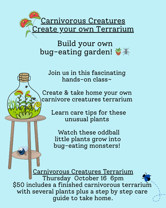 Thursday, Oct. 16  6pm~ Carnivorous Creatures: Create your own Terrarium