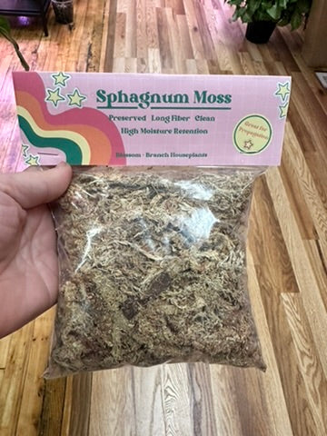 Sphagnum Moss