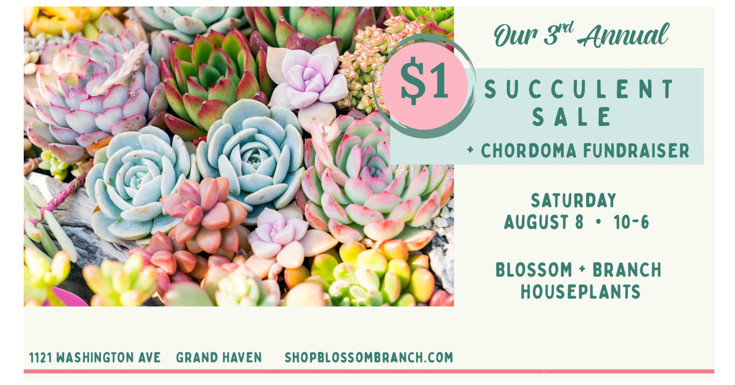 Annual $1 Succulent Sale + Fundraiser