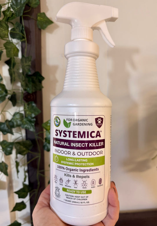 Natural insecticide killer 