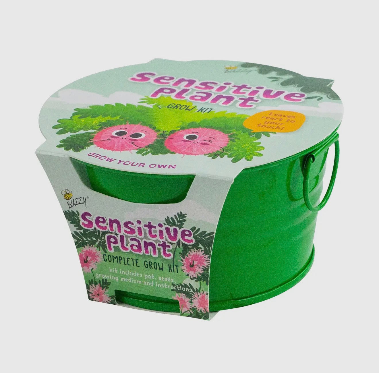 Sensitive Plant Grow Kit