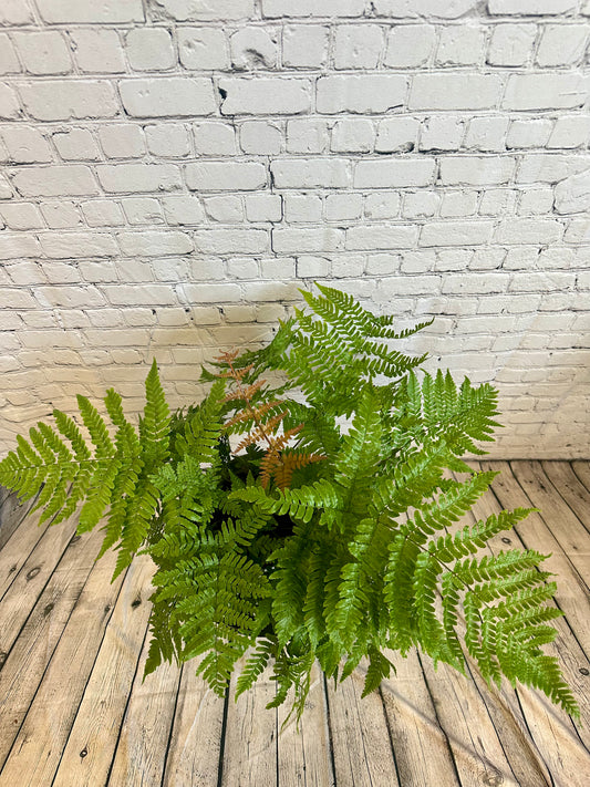 Autumn Fern 6in