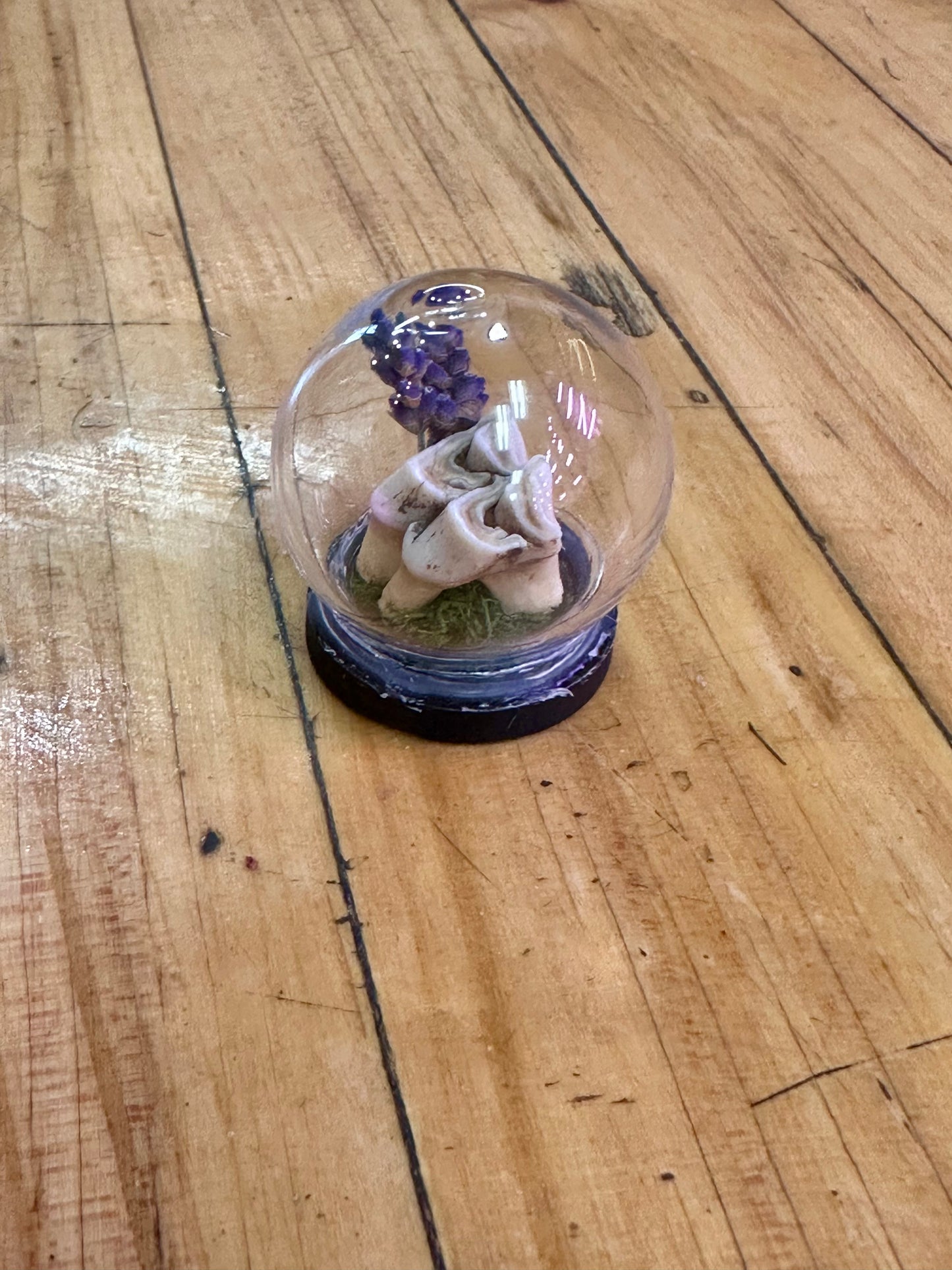 Mini Cloche #1