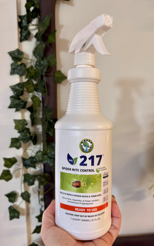 Spider Mite Control 
Organic 
